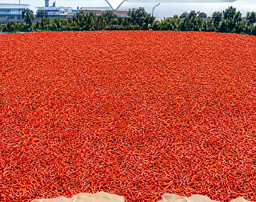Drying Area